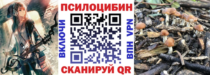 Галлюциногенные грибы мицелий  Игра 